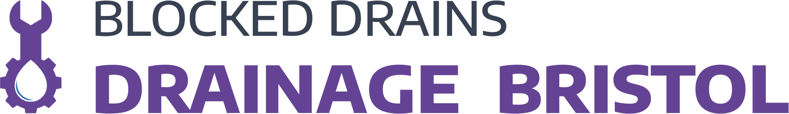 website logo